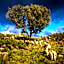 Retiro do Gerês
