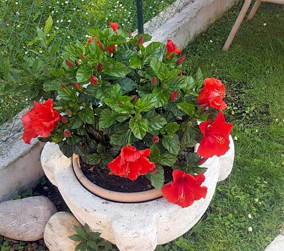 B&B Casa Gaia - Sirmione