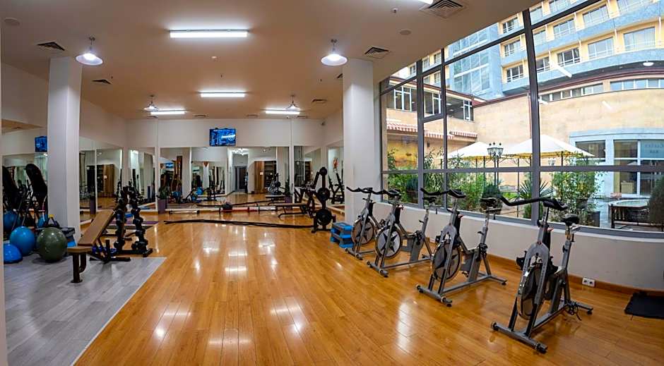 Ani Plaza Hotel