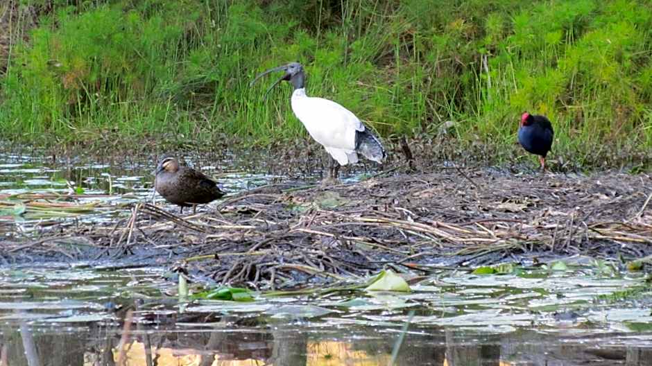 Lake Russell Retreat