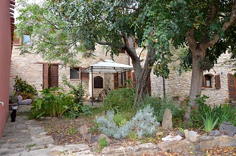 Sa Domu de sa Contissa