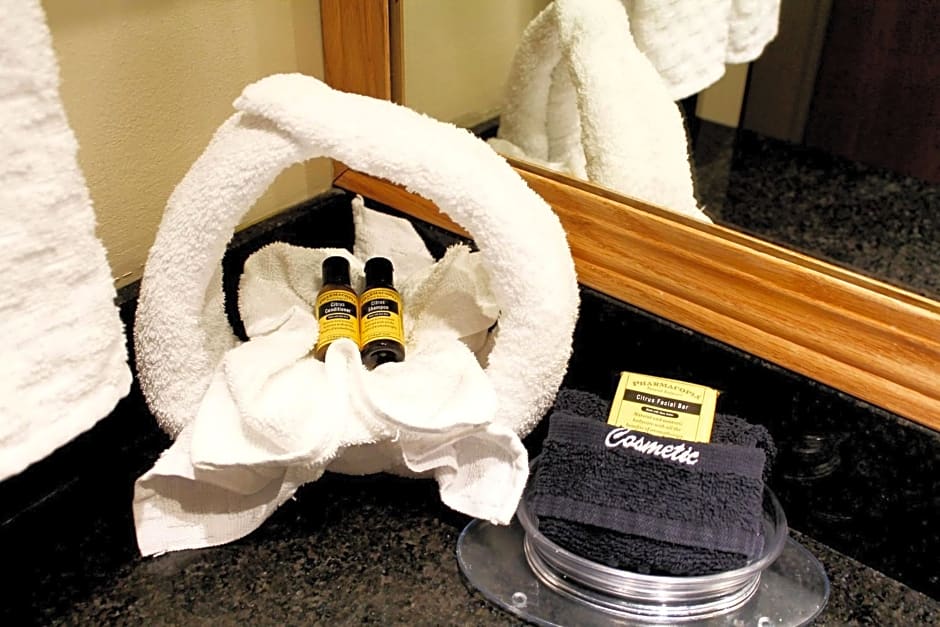 Best Western Plus Des Moines West Inn & Suites