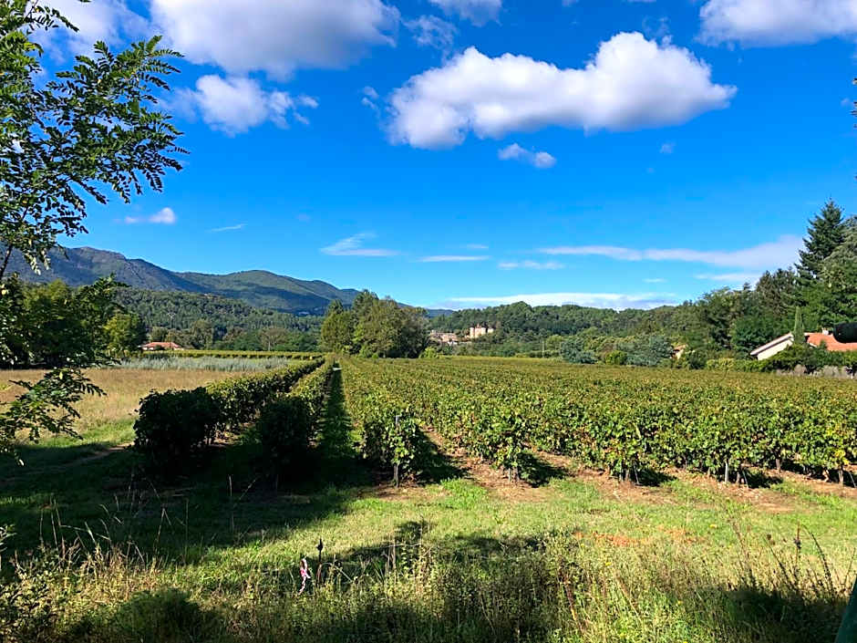 Terres de France - Le Domaine des Vans