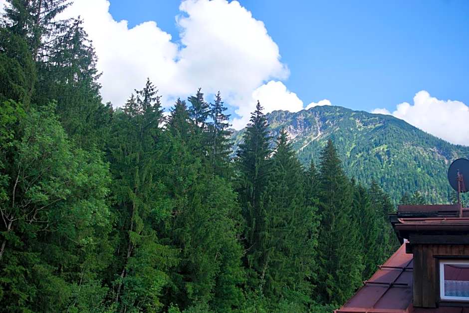 Mountain Hostel City