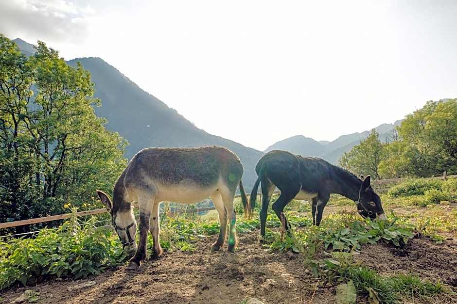 Le Marie Lydie - Chambre d'hôte
