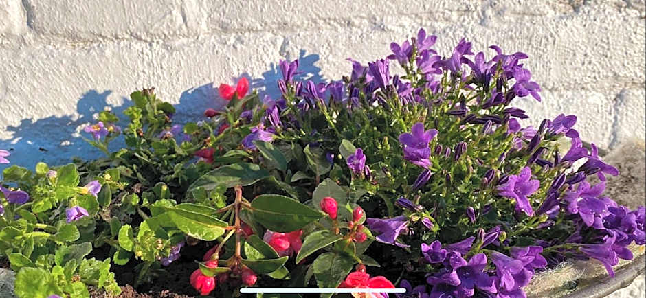 George & Dragon Country Pub & Hotel Wolverton Townsend