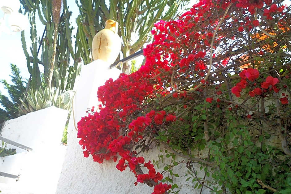 Hotel Park Calitto