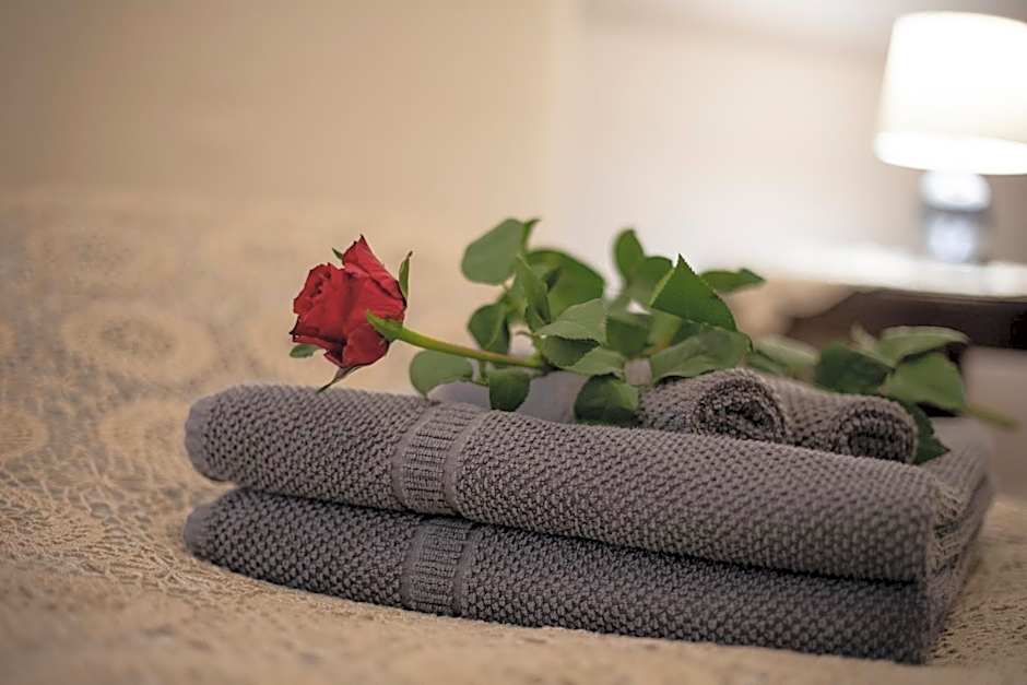 Dogana d'Acqua Rooms & Art