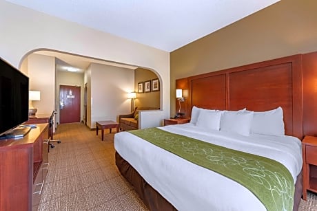 1 King Bed, Business Room, Suite, Nonsmoking, Accessible, Upgrade