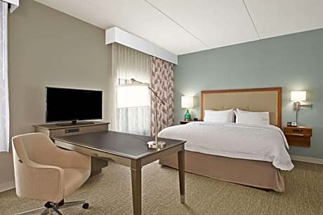 1 King Microwv/Fridge/Wet Bar Studio Suite Ns