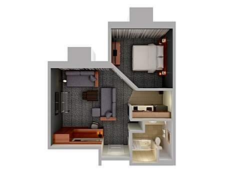 Larger One-Bedroom King Suite with Kitchenette and Sofa Bed