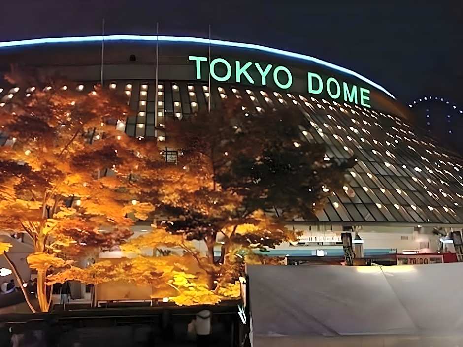 Apa Hotel Ochanomizu-Ekikita