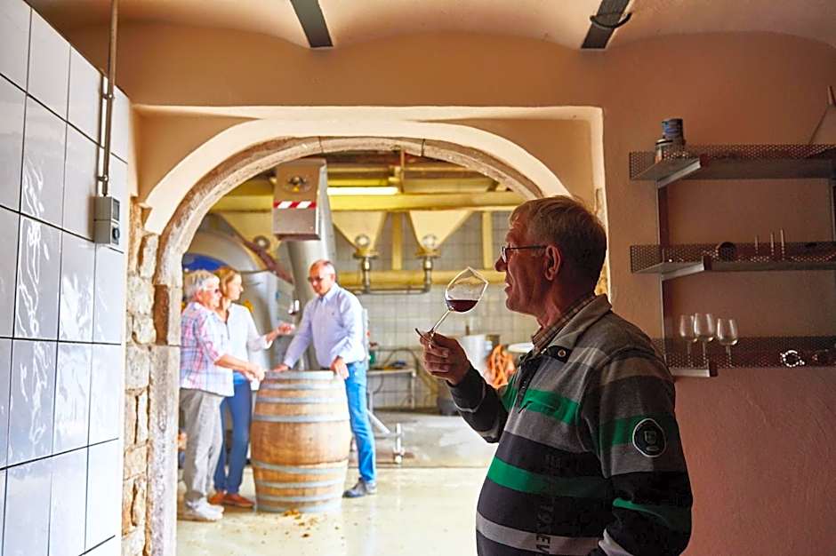 Dohlmühle Hotel & Weingut