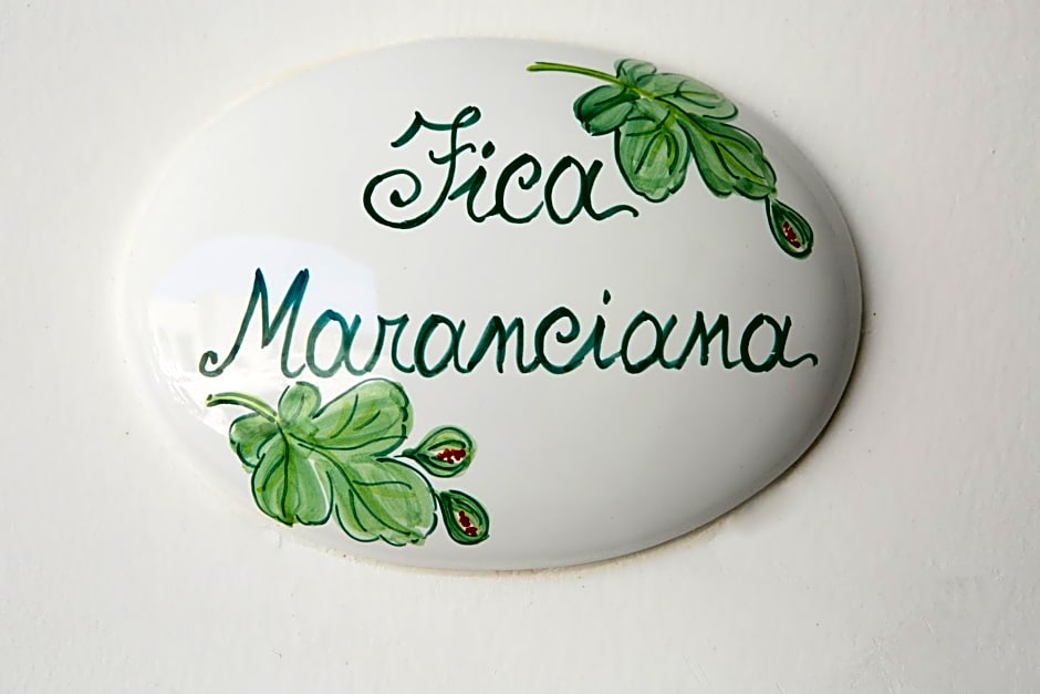 Antica Masseria Ficazzana - Tenuta