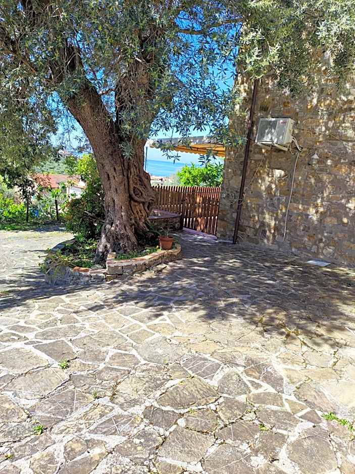 IL CONTE DI MARRAONE