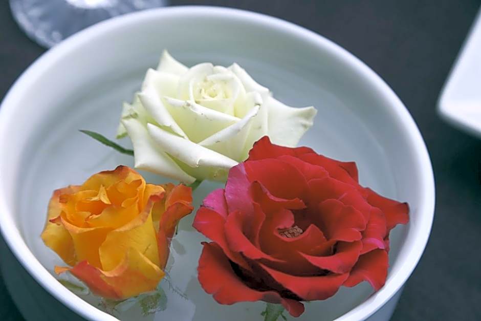 Riad Mille Et Une Nuits