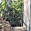 AJjaa's Place