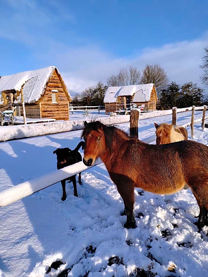 Chalet David Hockney