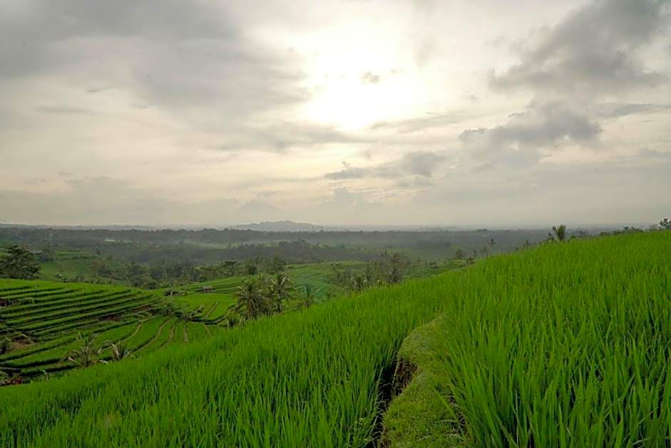 Dukuh Baturan Villa