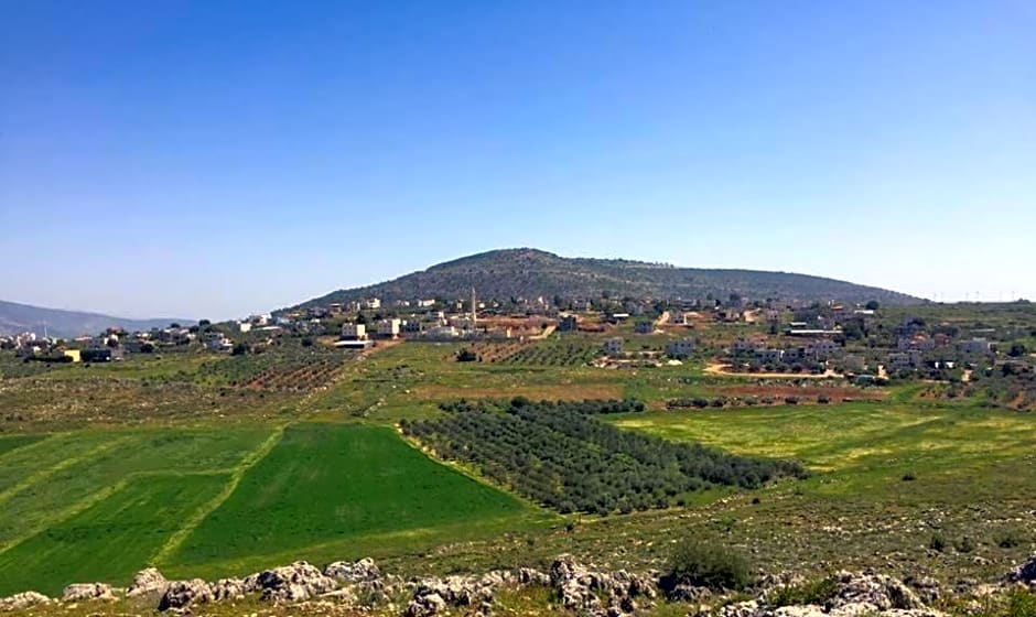 bedouin guest house