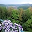 B&B Il Suono del Bosco