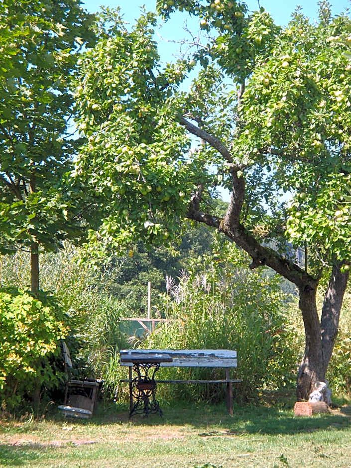 Penzion Javorský mlýn