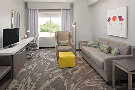 One-Bedroom King Suite