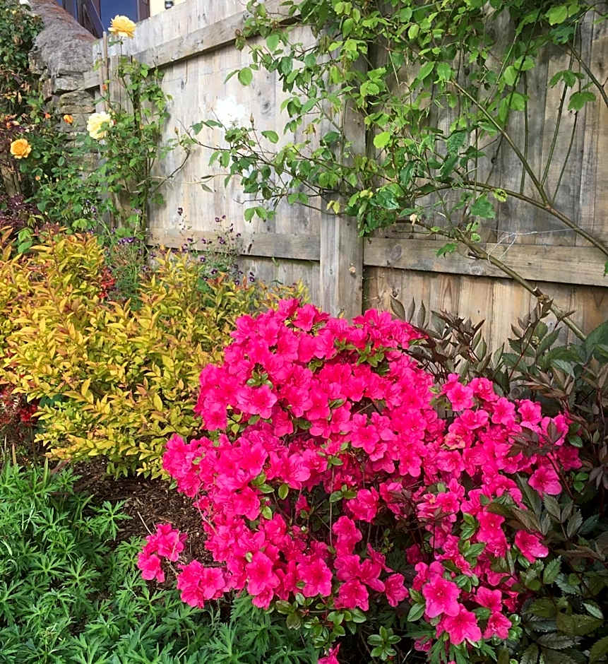 Stoke House Bed and Breakfast