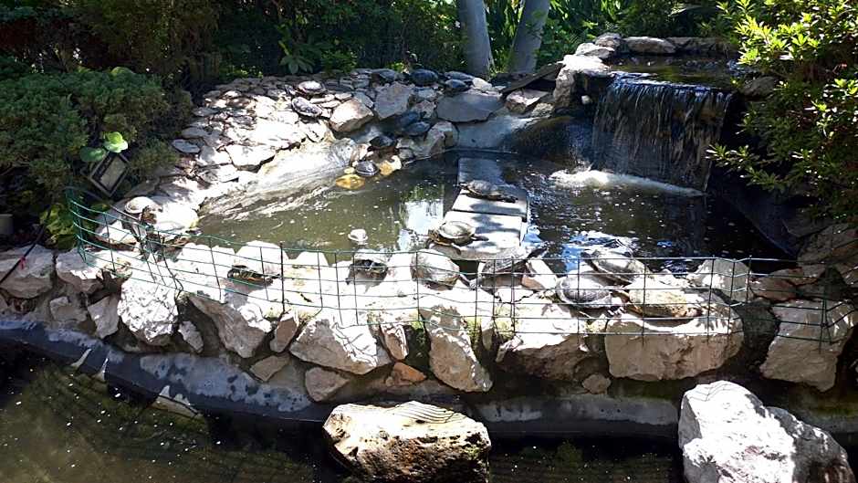 Holiday Inn Cuernavaca By IHG