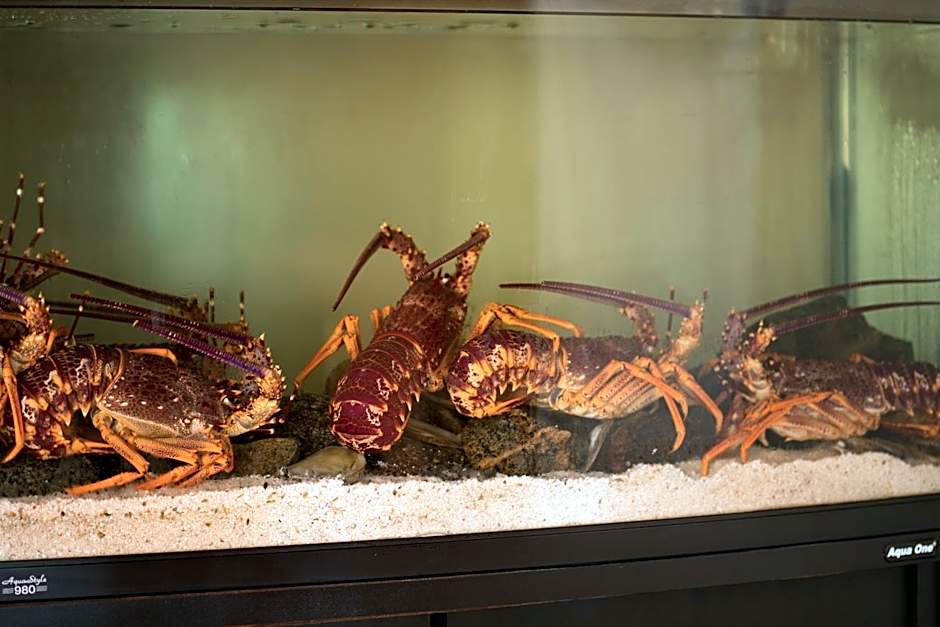 Church Hill Boutique Lodge & Restaurant