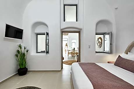 Premium Cave Suite with Outdoor Plunge Pool