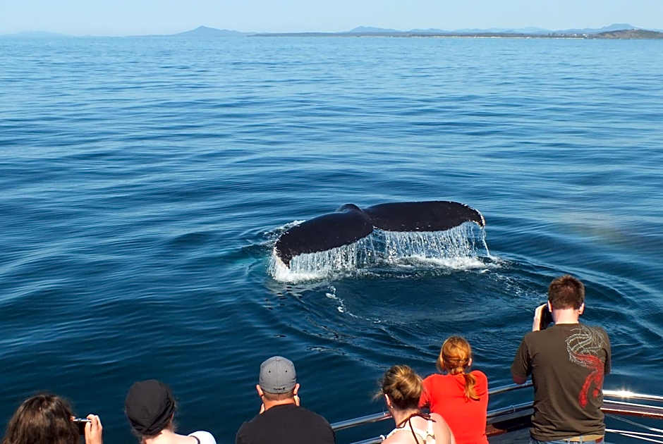 Pacific Marina Apartments