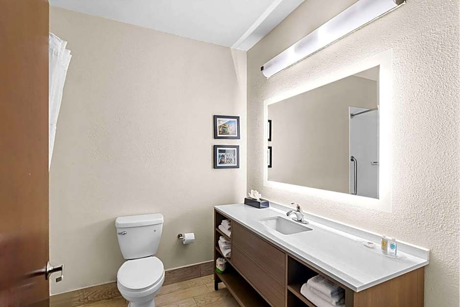Comfort Suites Mobile East Bay