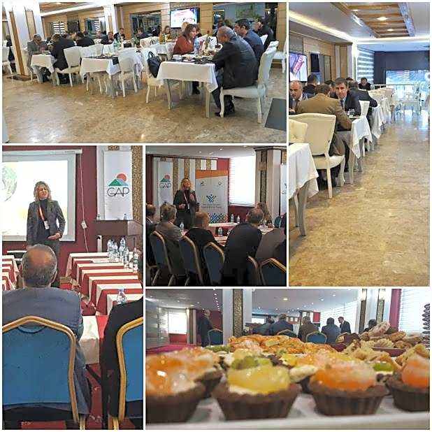 The Ancient Mesopotamia Hotel