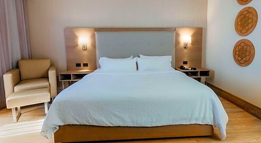 Hilton Garden Inn Silao Aeropuerto Bajio