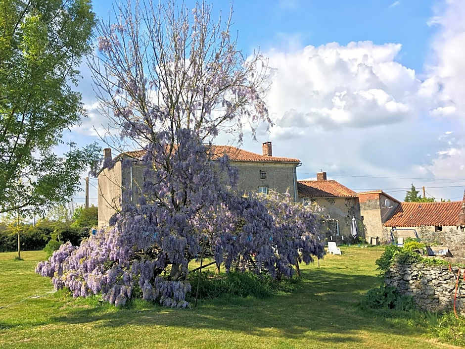 Wisteria House