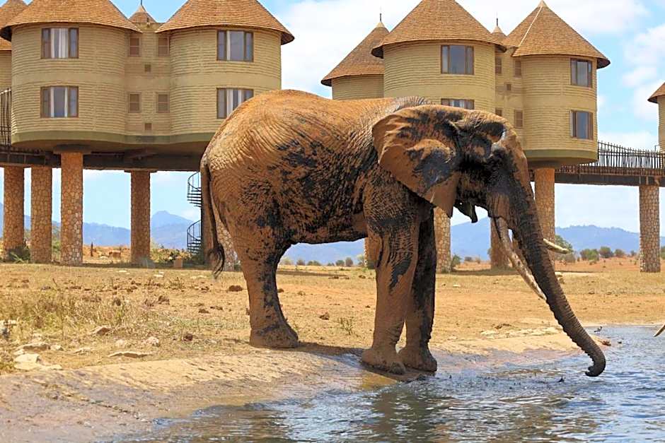 Salt Lick Safari Lodge