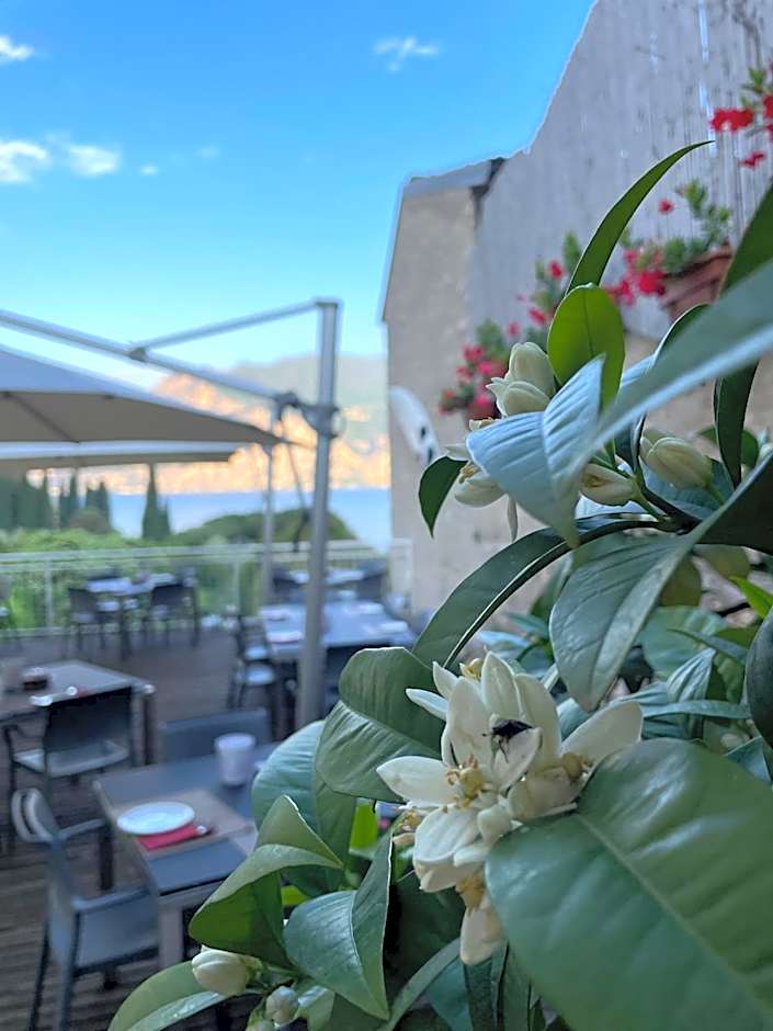 Hotel Roma Aparthotel