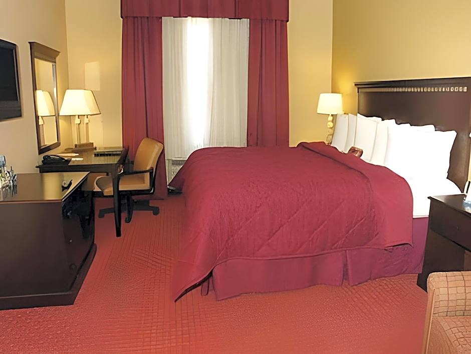 Comfort Inn & Suites Maingate South