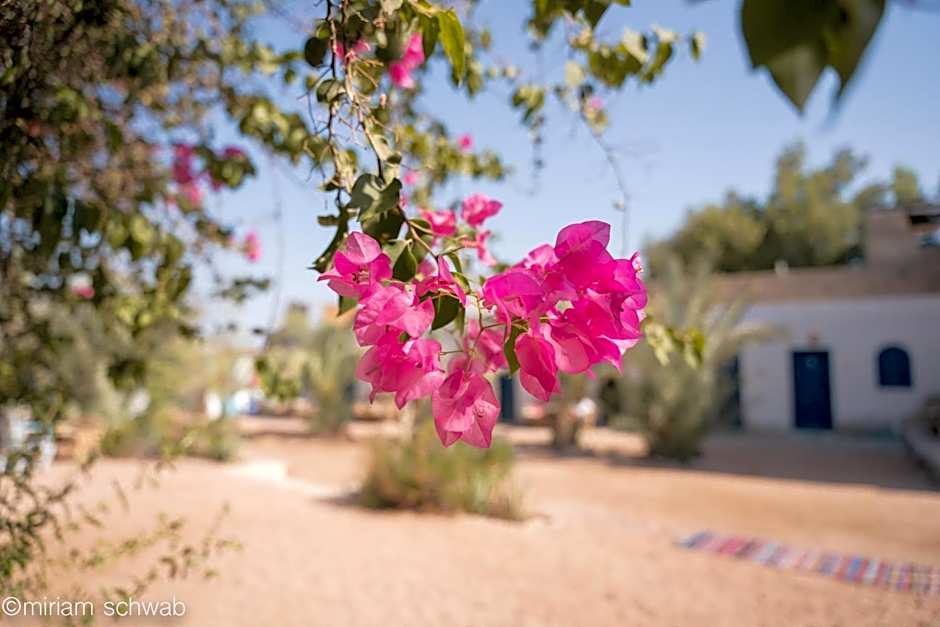 Marine Garden Camp