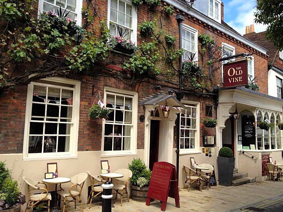 The Old Vine