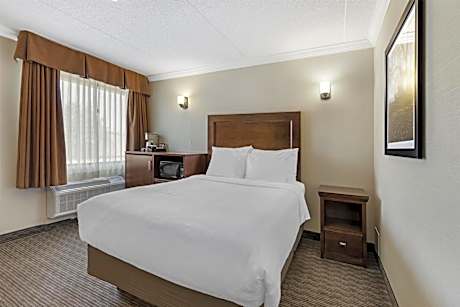 Double Room with Work Desk - Non-Smoking