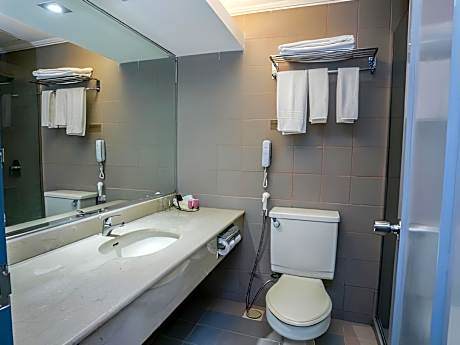 Deluxe Room 2 Single bed