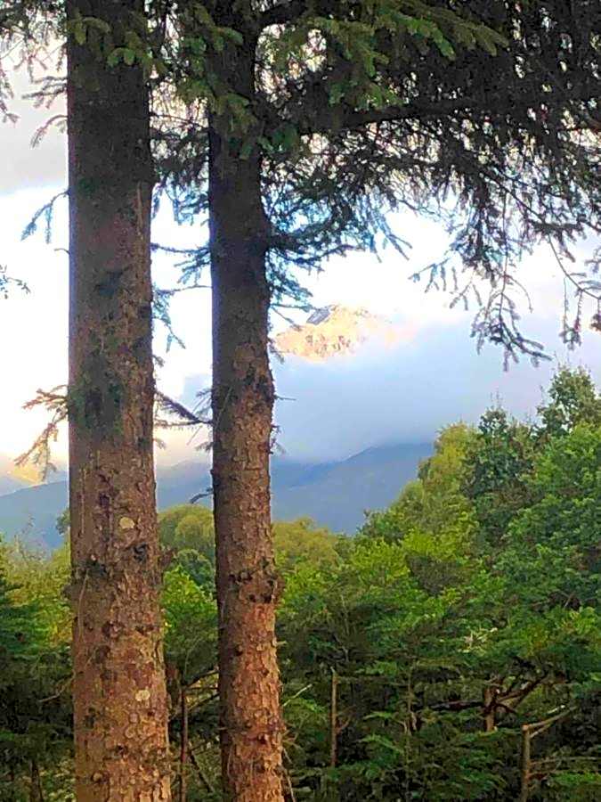 TOM BEAG - Ben Nevis view ROOMS