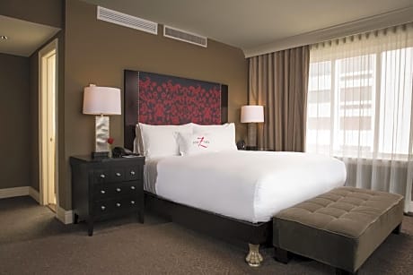 Hotel Zaza Houston Museum District