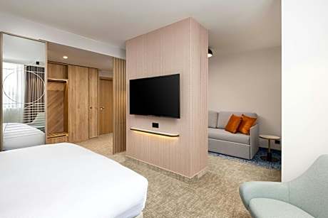 Junior King Suite with Sofa Bed