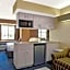 Microtel Inn & Suites By Wyndham Houston