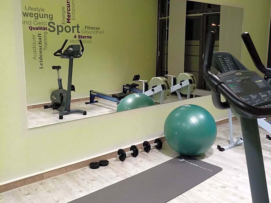 Mercure Hotel Riesa Dresden Elbland