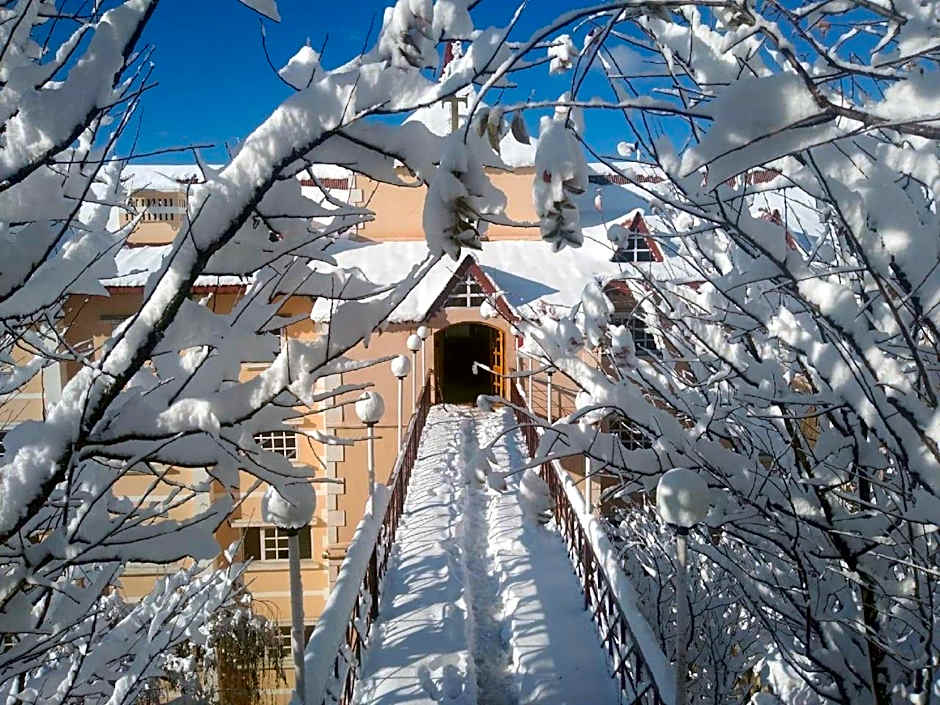 Toshali Royal View Shimla