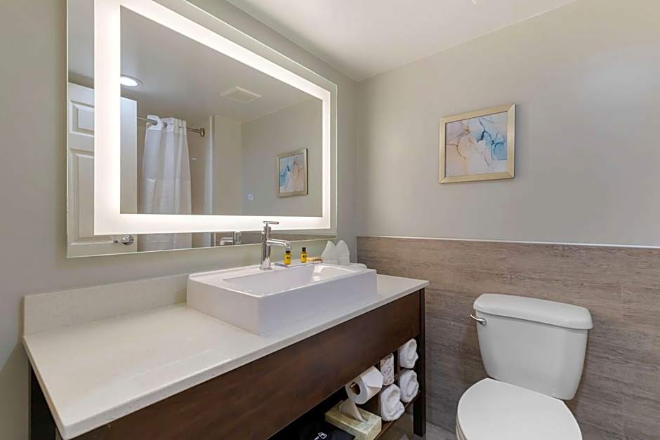 Best Western Plus McAllen Airport Hotel